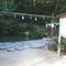 ∞　八重垣神社　鏡の池