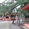 ∞　日御碕神社