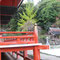 ∞　日御碕神社