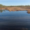 Wildes Moor im Soomaa Nationalpark
