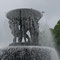 Möwen nutzen den großen Brunnen zur Abkühlung