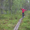 Andrea im Urwald von Galåbodarna