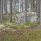 Viele Findlinge aus der letzten Eiszeit liegen im Wald bei Fågelsjö