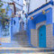 Treppe mit Hund in der Medina von Chefchaouen