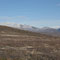 Vom Campingplatz in Hjerkinn wandern wir durch das Dovrefjell