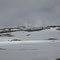 Langläufer im Juni auf dem Sognefjellet
