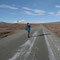 Jürgen auf der Suche nach den seltenen Moschusochsen des Dovrefjell
