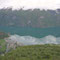 Blick vom Stegastein auf den Aurlandsfjord