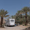 Am Campingplatz Palmier in Tata stehen wir unter Palmen