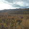 Bunte Herbstwälder der Finnmark