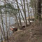 Angelboote am Flatensee bei Stockholm