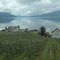 Obstbäume direkt am Hardangerfjord