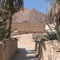 Blick von der Oase zum Ksar von Icht
