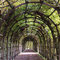 Laubengang im Schlossgarten von Schwerin