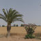 Am Weingut Hacienda des Cigognes