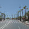 Von Palmen gesäumte Straße in El Aaiún