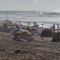 Die Marokkaner bauen am Strand kreative Pavillons, um sich vor Sonne und Wind zu schützen