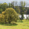 Am Urwaldweg von Priepert