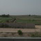 Landwirtschaft in der Nähe von El Jadida