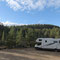 Vagabund im Wald von Lappland