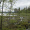 Die Seen im Jämtland sind vor allem bei Anglern sehr beliebt