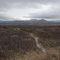 Heidelandschaft im Jotunheim Gebirge