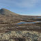 Raue Schönheit in den Bergen des Rondane Nationalpark