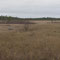Moorebene im Norden Lapplands