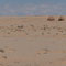 Rundbauten in der Sahara