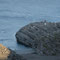 Leuchtturm an der Nordostspitze der Varanger Halbinsel