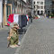 Einer von vielen Trollen in der Fußgängerzone von Ålesund