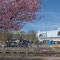 Die Markthalle Saluhallen in Göteborg