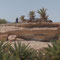 Einheimischer in der Oase von Icht