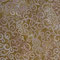 Baumwolle Kringel/ Ranken, gold, 110cm breit, 0.5m 8.50€