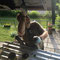 28.6.2012 klebrige Angelegenheit