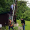 10.6.2012 dem morschen Baum geht's an den Kragen