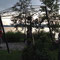 22.6.2012 der Pavillon wird aufgestellt
