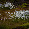 Arctische uitdaging - Photocredits: Halvor Mykleby / Hurtigruten Svalbard