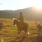 Mongolei - 2013 © Birgit Stanzel