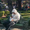 Parque Coyoacán - © 2025 Ruth Groh