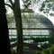 Palmengarten Frankfurt/Main 2006 - © Niko Michel