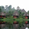 Nationalpark Yasuní, Ecuador  - © Gabriela Weber 2011
