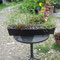 Blumenkiste mit Wildblumen: Skabiose, Thymian, Färberhundskamille, Ochsenzunge, Heidenelke