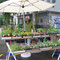 Marktstand in Langnau mit Madeleine