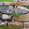 Mauerbepflanzung mit Gänsekresse, Storchschnabel 'Orkney', Storchschnabel 'Dreamland', Zwerggoldlack