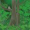 シマフクロウの森１