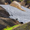 Dinosaurs on Iceland?