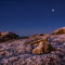 Cold Glow (Harz)