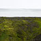 Moss, cornice and sky