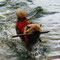 Zwemmen is fun! 7 maanden